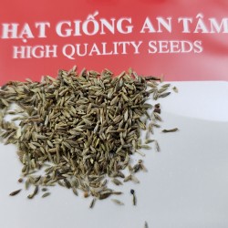 Hạt giống hoa thạch thảo