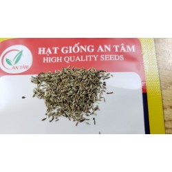 Hạt giống hoa thạch thảo