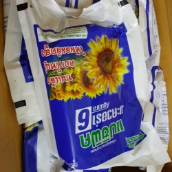 Hạt giống hoa hướng dương AGUARA 6