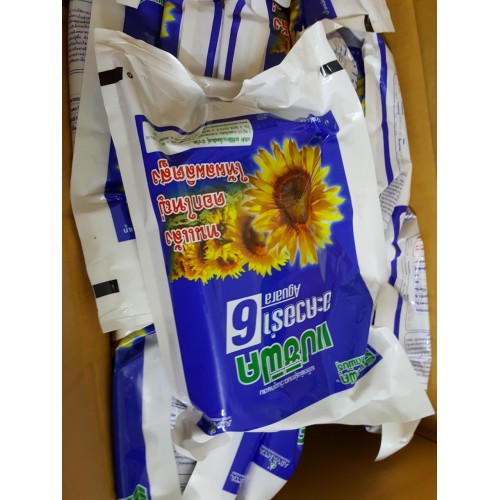 Hạt giống hoa hướng dương AGUARA 6