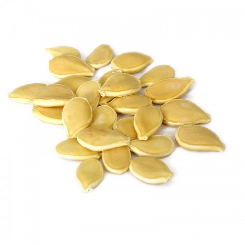 Hạt giống bí nhật xanh f1