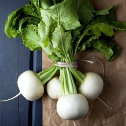 Hạt giống củ cải trắng tròn baby