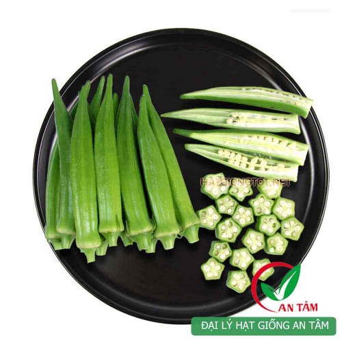 Hạt giống đậu bắp xanh lùn