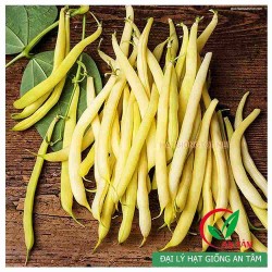 Hạt giống đậu cove vàng Hạt giống đậu cove vàng
