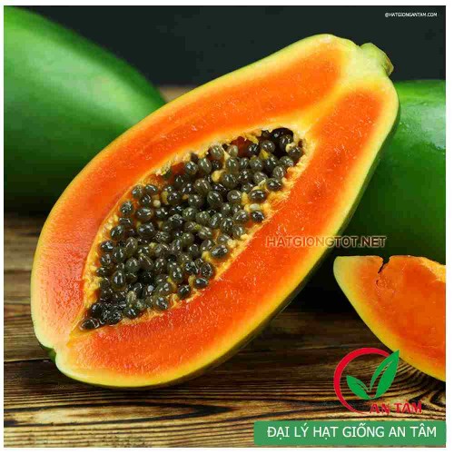 Hạt giống đu đủ ruột đỏ