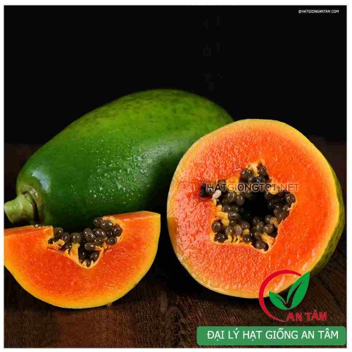 Hạt giống đu đủ ruột đỏ