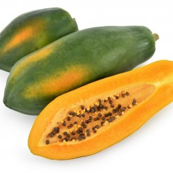 Hạt giống đu đủ lùn ruột vàng