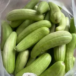 Hạt giống dưa chuột gang trái dài