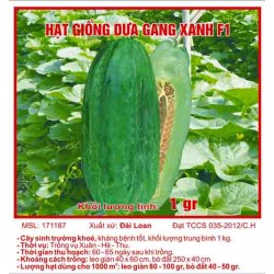 Hạt giống dưa gang xanh F1