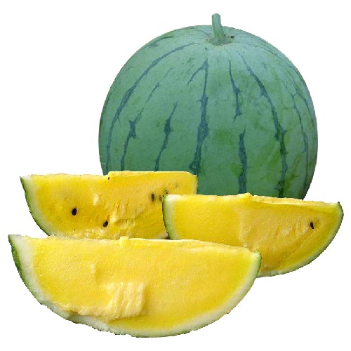Hạt giống dưa hấu ruột vàng