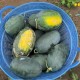 Hạt giống dưa hấu siêu ngọt