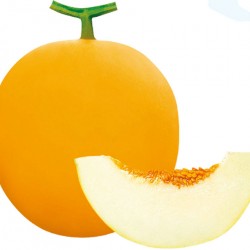 Hạt giống dưa kim cô nương F1