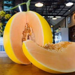 Hạt giống dưa kim hoàng hậu