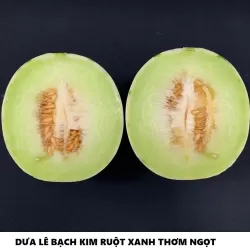 Hạt giống dưa lê bạch kim ruột xanh Hạt giống dưa lê bạch kim ruột xanh