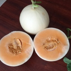 Hạt giống dưa lê cẩm ngọc