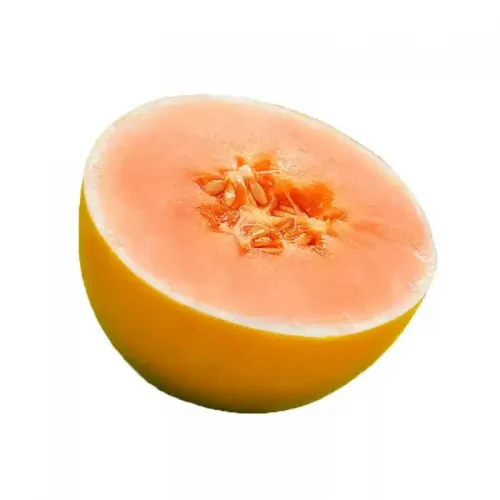 Hạt giống dưa lê hoàng kim ngọc