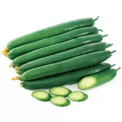 Hạt giống dưa leo F1