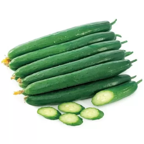 Hạt giống dưa leo F1