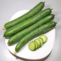 Hạt giống dưa leo F1