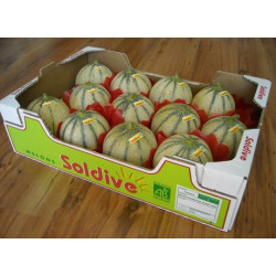 Hạt giống dưa lưới múi siêu ngọt