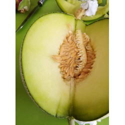 Hạt giống dưa lưới ruột xanh F1