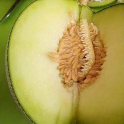 Hạt giống dưa lưới ruột xanh F1