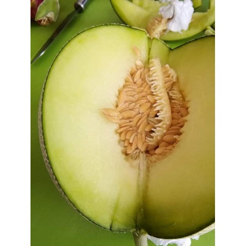 Hạt giống dưa lưới ruột xanh F1