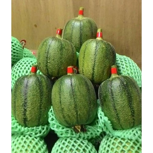 Hạt giống mướp táo f1