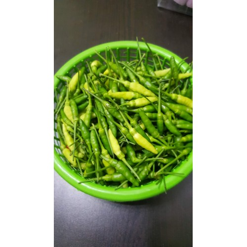 Hạt giống ớt xiêm xanh