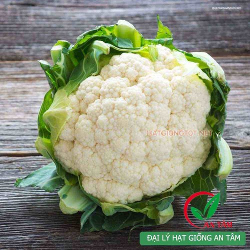 Hạt giống súp lơ trắng F1