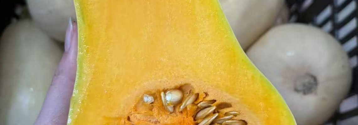 Các loại rau trồng mùa hè miền bắc Các loại rau trồng mùa hè miền bắc