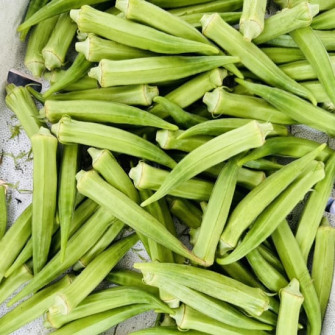 Hạt đậu bắp có tác dụng gì? Hạt đậu bắp có tác dụng gì?