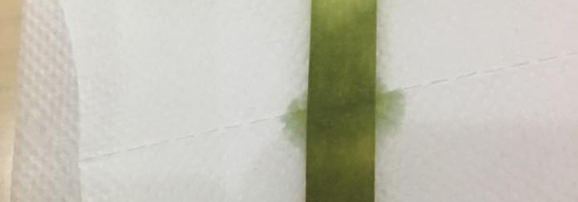 Giấy quỳ tím đổi màu xanh hoặc đỏ Giấy quỳ tím đổi màu xanh hoặc đỏ
