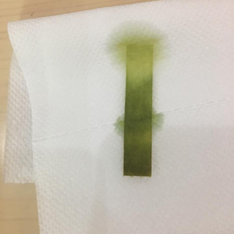 Giấy quỳ tím đổi màu xanh hoặc đỏ Giấy quỳ tím đổi màu xanh hoặc đỏ