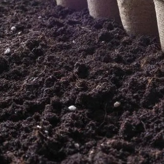 Hướng dẫn ủ phân từ rau thừa nhà bếp