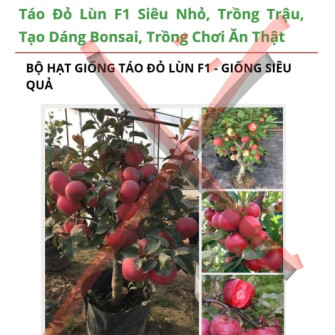 Cảnh báo mạo danh Hạt Giống An Tâm Cảnh báo mạo danh Hạt Giống An Tâm