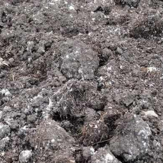 Phân gà bình thường chứa bao nhiêu NPK?