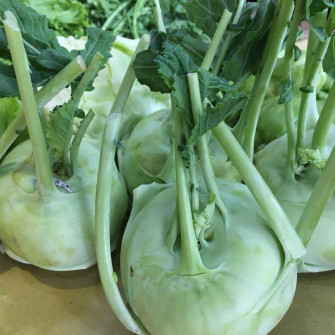 Rau an toàn là gì? tiêu chuẩn của rau an toàn?