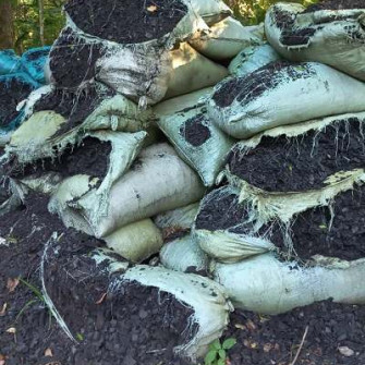 Tại sao chọn phân hữu cơ thay thế cho phân hóa học