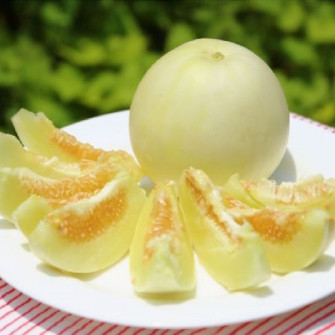 Tại sao dưa lê bị đắng? Tại sao dưa lê bị đắng?