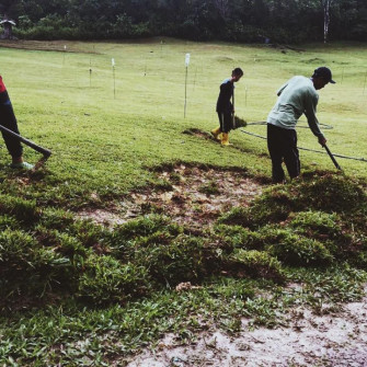 Trồng cỏ lá gừng cho sân bóng có được không? Trồng cỏ lá gừng cho sân bóng có được không?