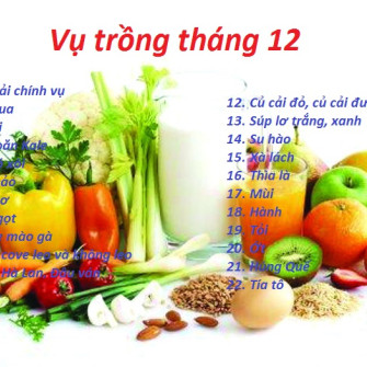 Mùa vụ trồng rau các tháng - tính theo 12 tháng dương lịch Mùa vụ trồng rau các tháng - tính theo 12 tháng dương lịch