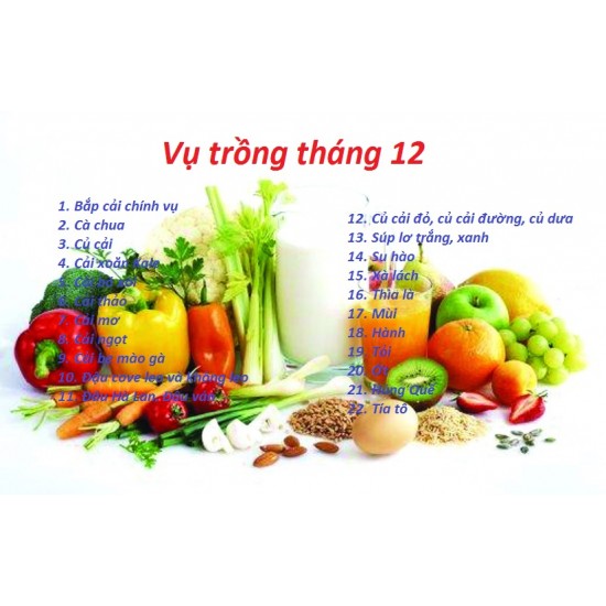 Mùa vụ trồng rau các tháng - tính theo 12 tháng dương lịch