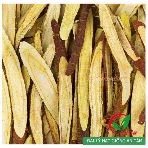 Hạt giống cây cam thảo bắc