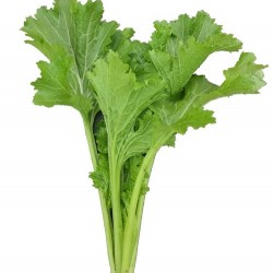 Hạt giống rau cải mèo ngọt