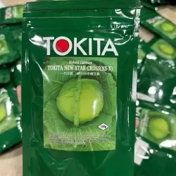 Hạt giống bắp cải tokita