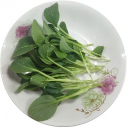 Hạt giống cải ngọt ăn non