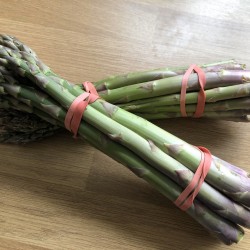 Hạt giống măng tây xanh atlas F1