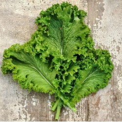 Hạt giống mù tạt xanh (cải wasabi)