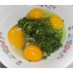 Hạt giống rau cải trời (cải đất)